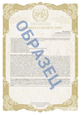 Образец Приложение к СТО 01.064.00220722.2-2020 Кудымкар Сертификат СТО 01.064.00220722.2-2020 